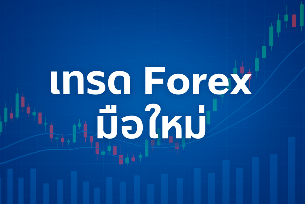 เทรด forex มือใหม่