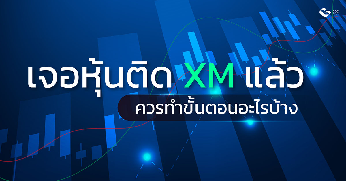 เครื่องหมาย-xm-คือ