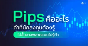 Pips คือ